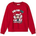 NKFVISMAS LS NREG SWEAT BRU