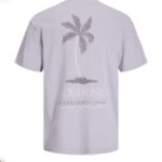 JJSUMMER VIBES TEE SS CREW NECK MNI
