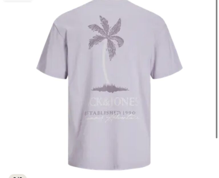 JJSUMMER VIBES TEE SS CREW NECK MNI