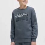 JJELOGO SWEAT CREW 2 COL 25/26 NOOS
