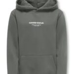 OSJCURATED REG HOODIE SWEAT VD