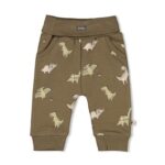 Broek AOP - Rawrsome