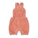 Tuinbroek kort velours rib - Woodla