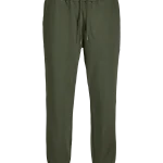 JPSTGORDON JJESTAR SWEAT PANTS GMS