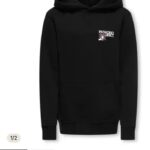 OSJSAWYER PARADISO REG LS HOODIE SW