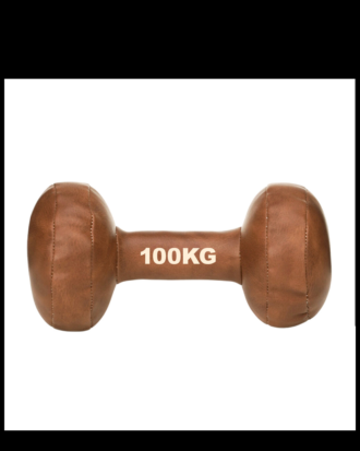 vintage dumbbell