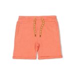 Short - Desert Fiesta