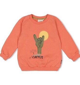 Sweater - Desert Fiesta