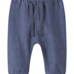 NBMDENZEL PANT