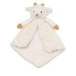 Churro sheep