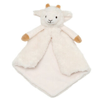 Churro sheep