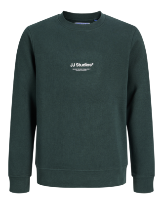 JJESOHO SWEAT CREW NECK SN JNR