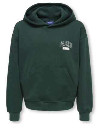 OSJTURNER PARKS GALLERY RLX HOODIE