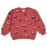 Sweater AOP oversized - Mountain to