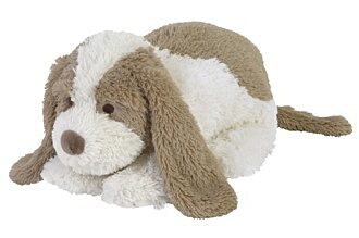 Dog david no.1