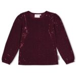 Longsleeve pailetten - Daily Prince