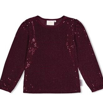 Longsleeve pailetten - Daily Prince